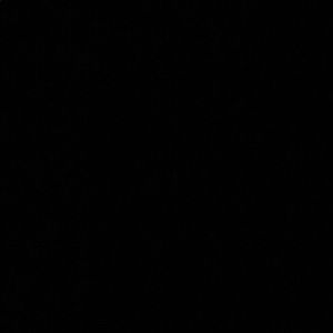 Meet your Posher, Nikhil